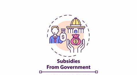 Government Subsidies