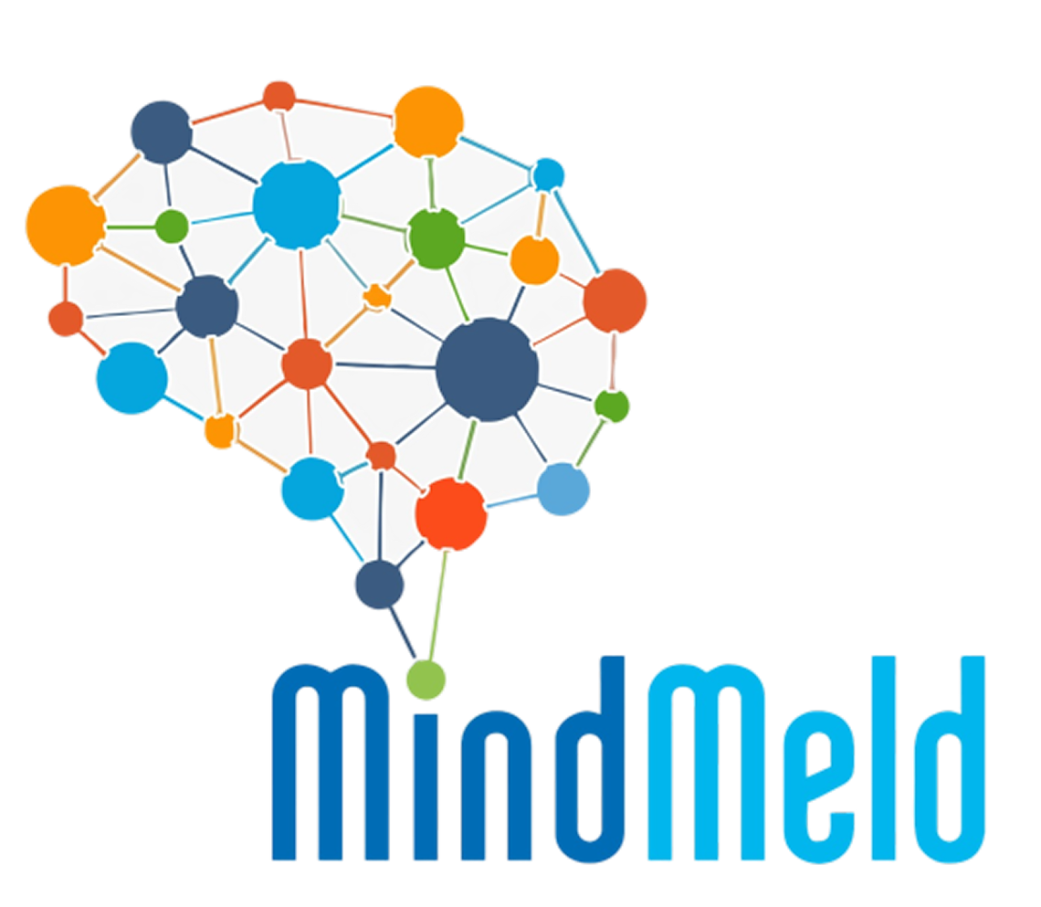 MindMeld Consulting Team